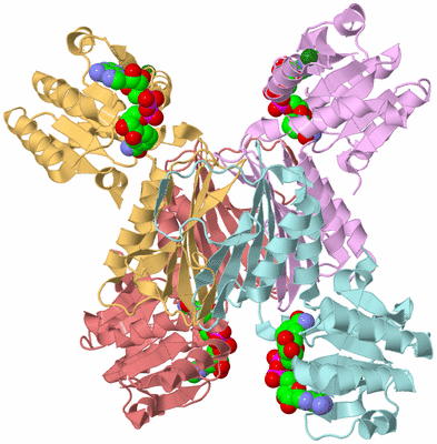 Image Biological Unit 2