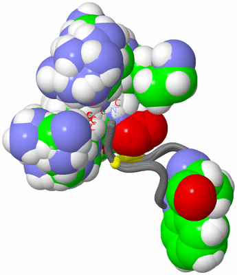 Image NMR Structure - all models