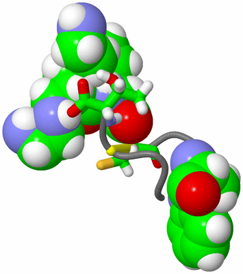 Image NMR Structure - model 1, sites