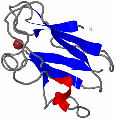 Image NMR Structure - model 1