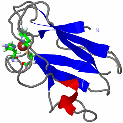 Image NMR Structure - model 1, sites