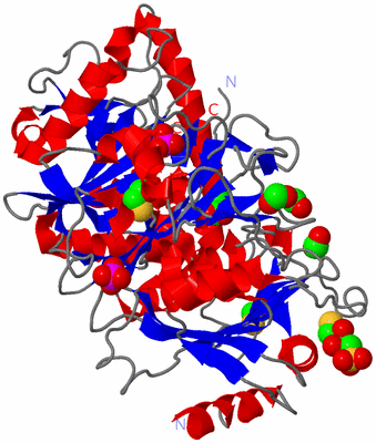 Image Asym./Biol. Unit