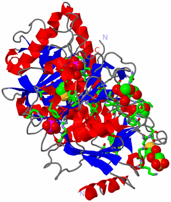 Image Asym./Biol. Unit - sites