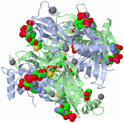 Image Biological Unit 1