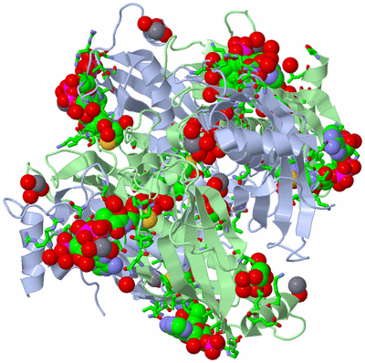 Image Biol. Unit 1 - sites