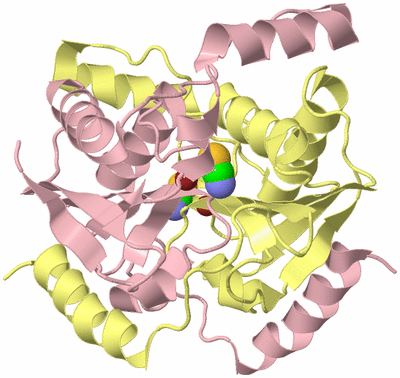 Image Biological Unit 2