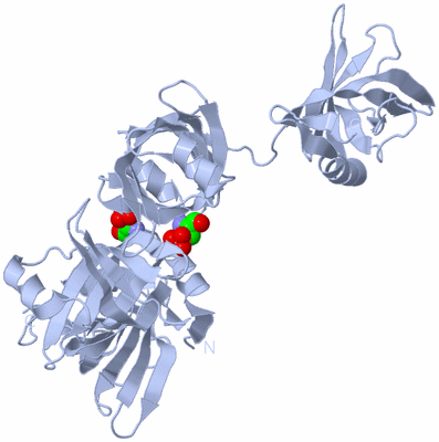 Image Biological Unit 1