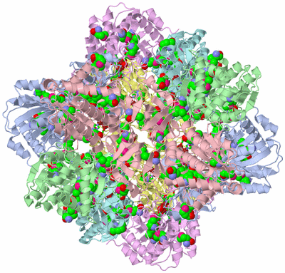 Image Biol. Unit 1 - sites