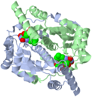 Image Asym./Biol. Unit