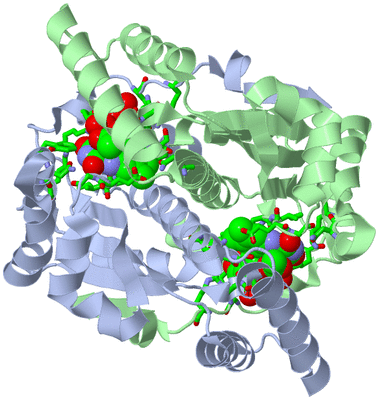 Image Asym./Biol. Unit - sites
