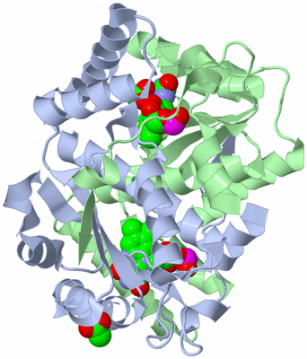 Image Asym./Biol. Unit