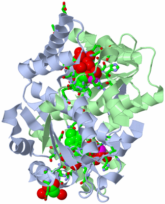 Image Asym./Biol. Unit - sites