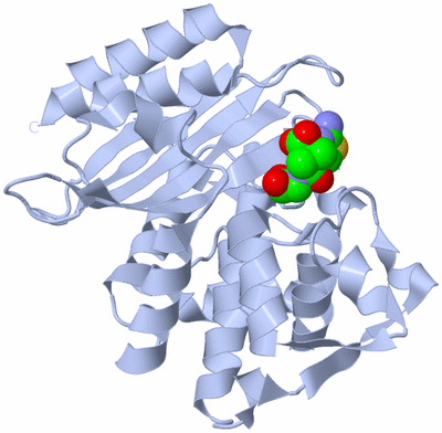 Image Biological Unit 1