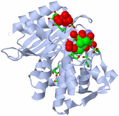 Image Biol. Unit 1 - sites