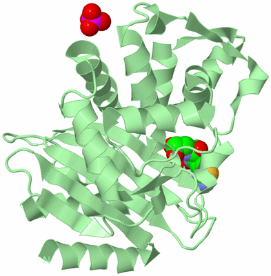 Image Biological Unit 2