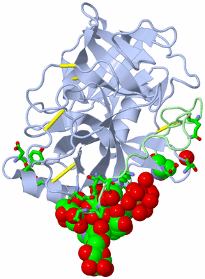 Image Biol. Unit 1 - sites