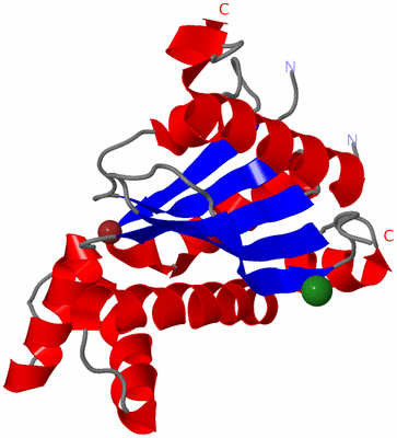 Image Asymmetric Unit