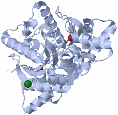 Image Biological Unit 1