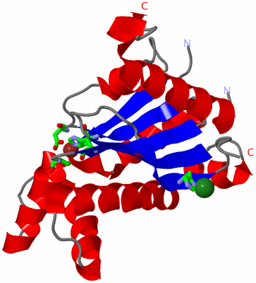 Image Asym. Unit - sites