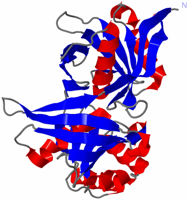 Image Asymmetric Unit
