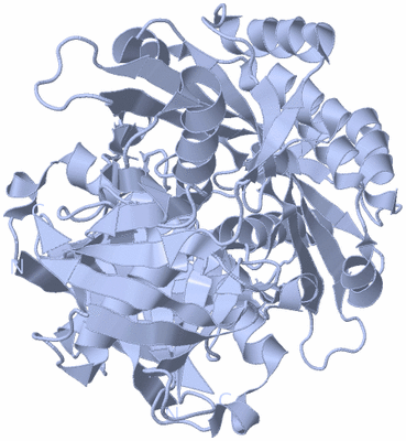 Image Biological Unit 1