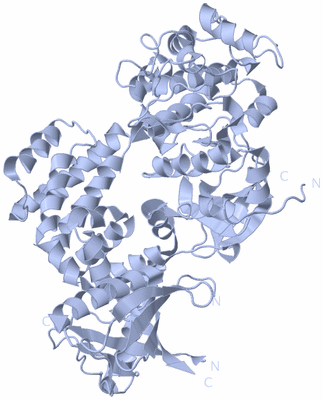 Image Biological Unit 1