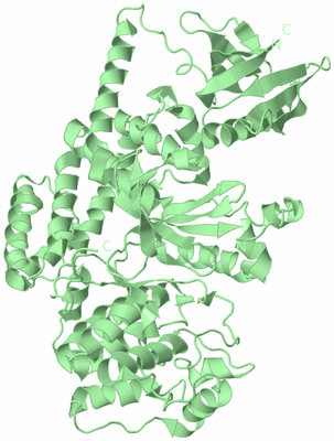 Image Biological Unit 2