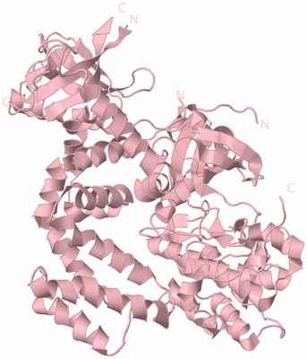 Image Biological Unit 3