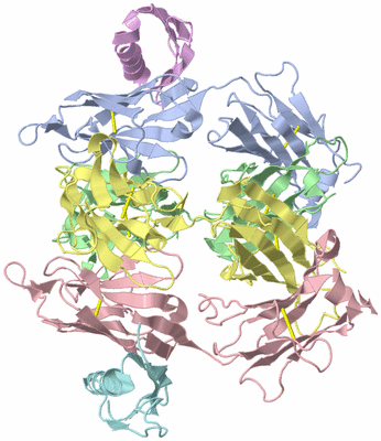 Image Asymmetric Unit