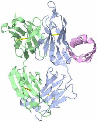 Image Biological Unit 1