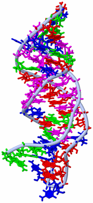 Image NMR Structure - model 1
