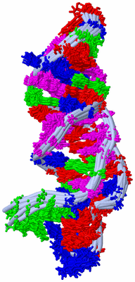 Image NMR Structure - all models