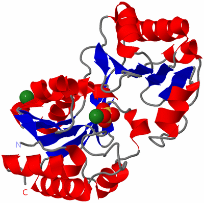 Image Asym./Biol. Unit