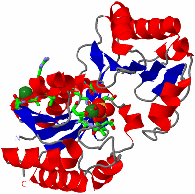 Image Asym./Biol. Unit - sites