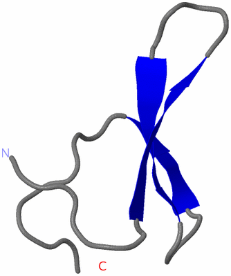 Image NMR Structure - model 1