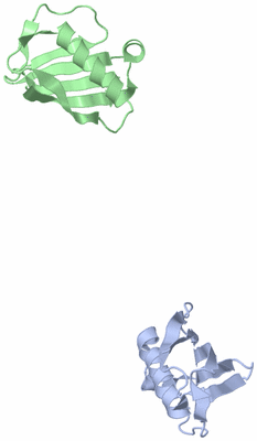 Image Asymmetric Unit