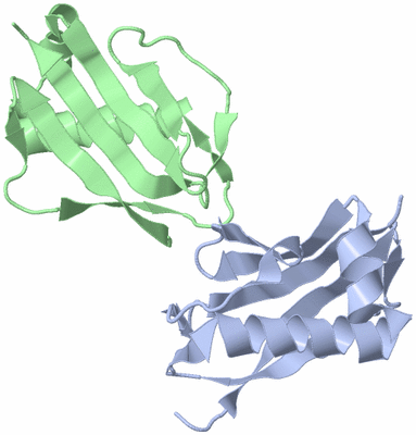 Image Asymmetric Unit