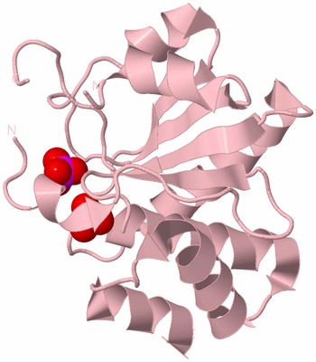 Image Biological Unit 3