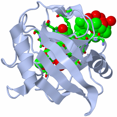 Image Biol. Unit 1 - sites