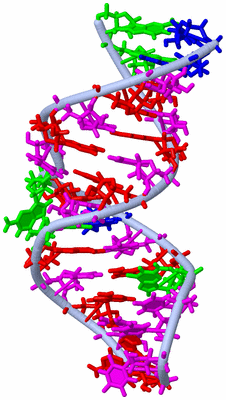 Image NMR Structure - model 1