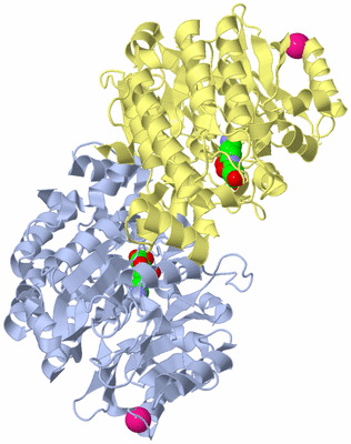 Image Biological Unit 1