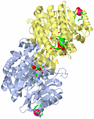 Image Biol. Unit 1 - sites