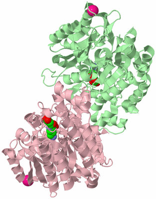 Image Biological Unit 2