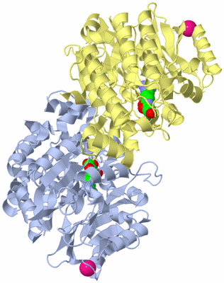 Image Biological Unit 1