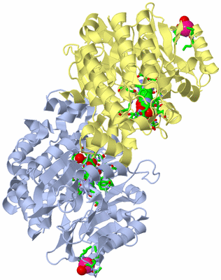 Image Biol. Unit 1 - sites