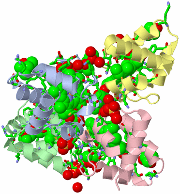 Image Asym./Biol. Unit - sites