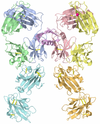 Image Asym./Biol. Unit