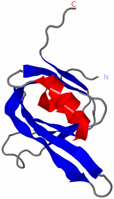 Image NMR Structure - model 1