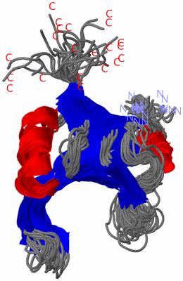 Image NMR Structure - all models