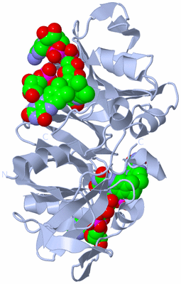 Image Biological Unit 1